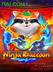 NinjaRaccoon